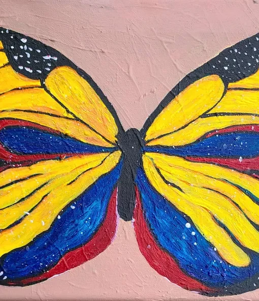 Colombian Butterfly