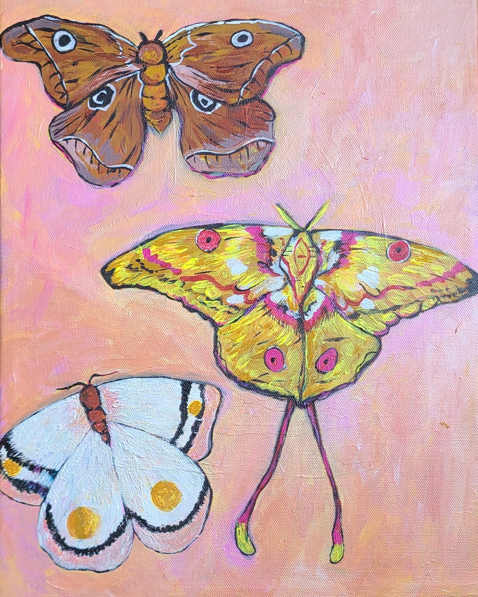 Three Butterflies Acrylic on Canvas by Kristen Andersen