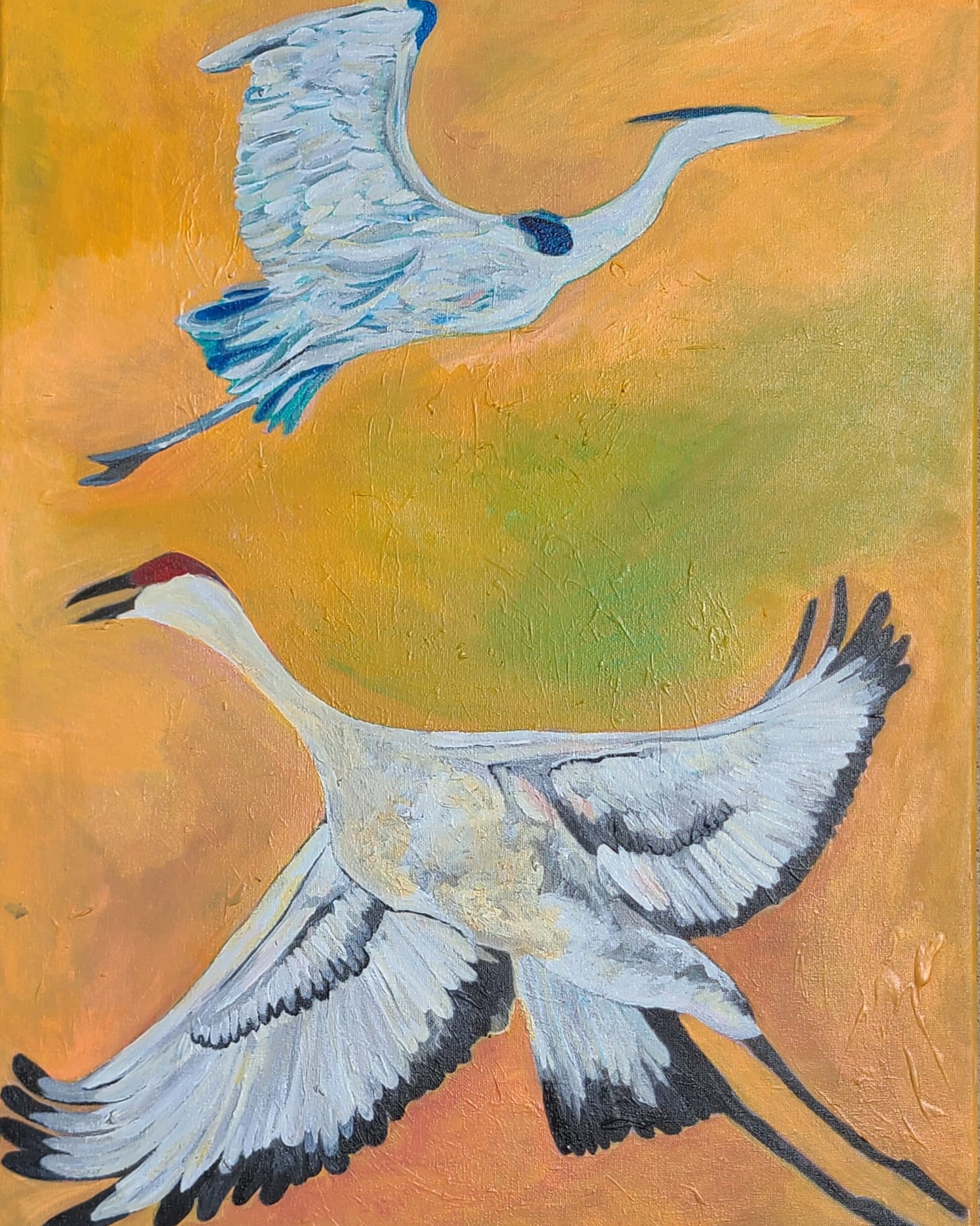 A Heron and A Crane